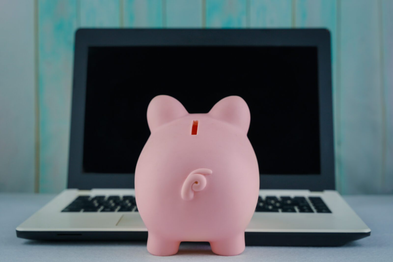 Ein Sparschwein steht vor einem Laptop. / Symbolbild PayPal